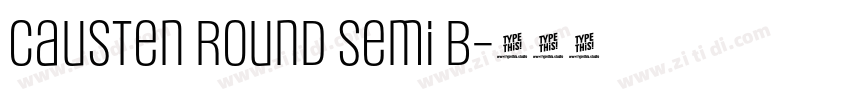 Causten Round Semi B字体转换